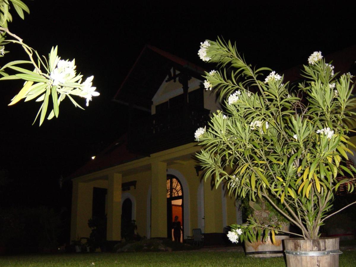Nitt Pince Es Panzio Bed & Breakfast Kisharsány Eksteriør bilde